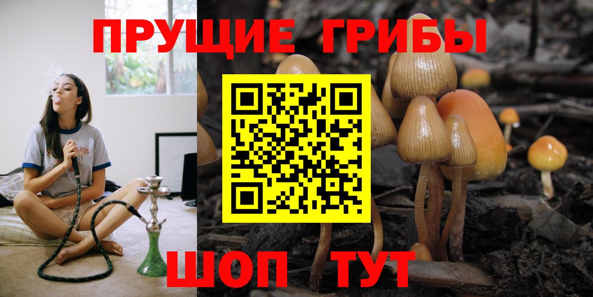 Кунгур  Псилоцибиновые грибы мухоморы  Вход с VPN 