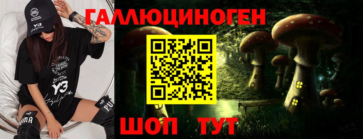 Псилоцибиновые грибы прущие грибы Кунгур